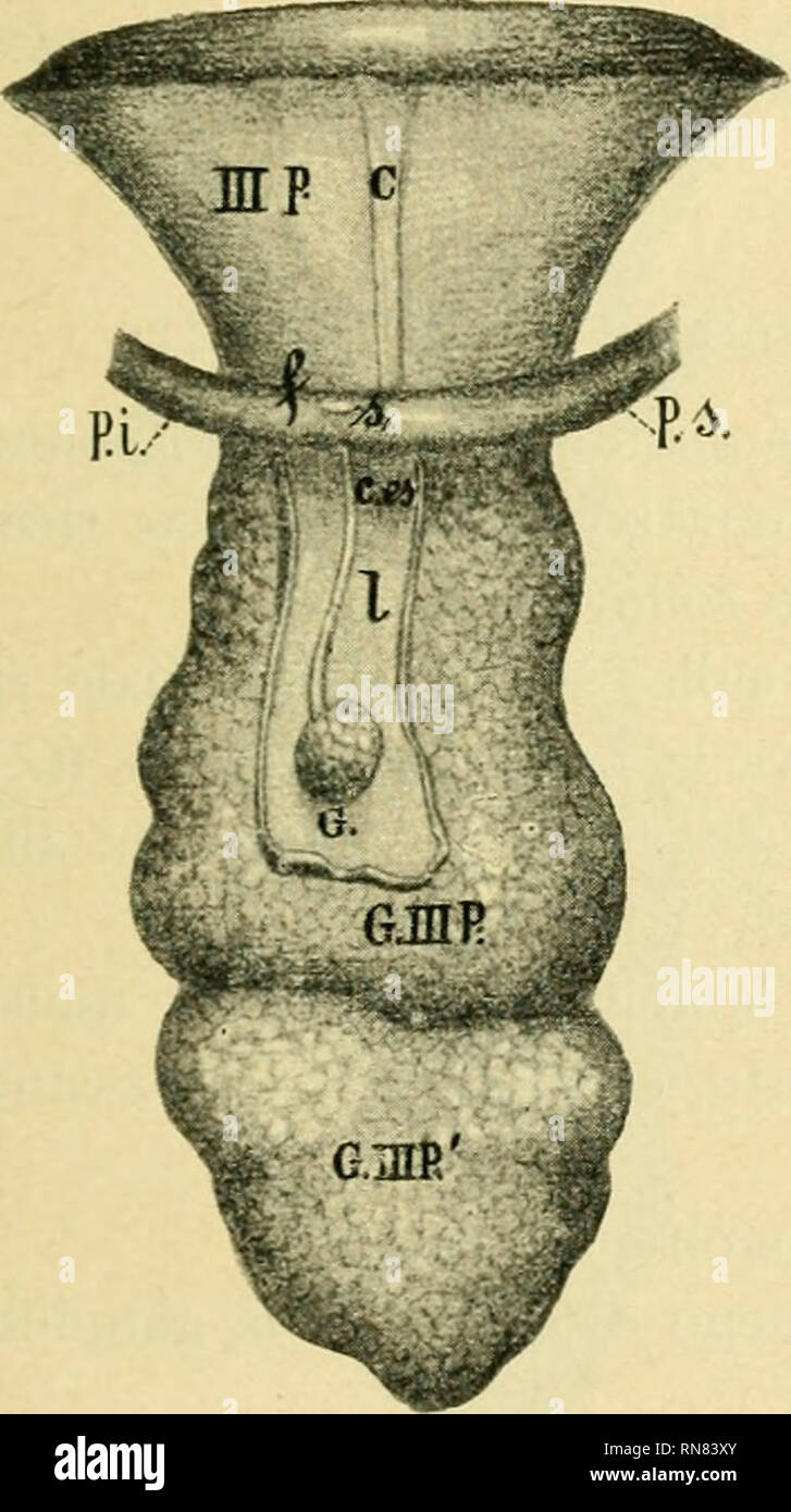 Distante Stockfotos Distante Bilder Alamy - 